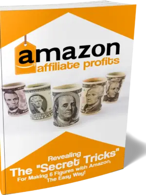 Amazon-Affiliate-Profits-e1695232922875-300x400