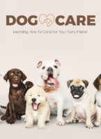 dog care